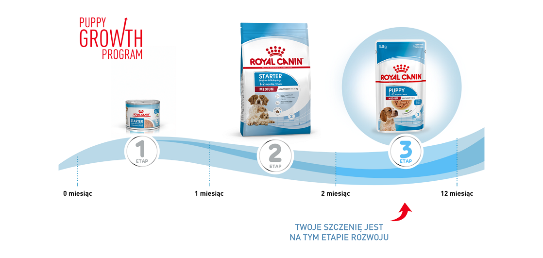 ROYAL CANIN Medium Puppy in gravy 140 g